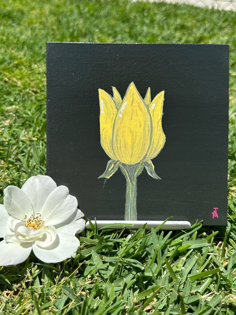 Yellow Tulip Hand Painted Canvas Art - Acrylic Paint & Gloss Seal